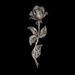 Rose Wandornament Aluminium 18 cm